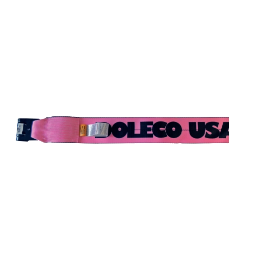 4in x 30ft PINK Winch Strap