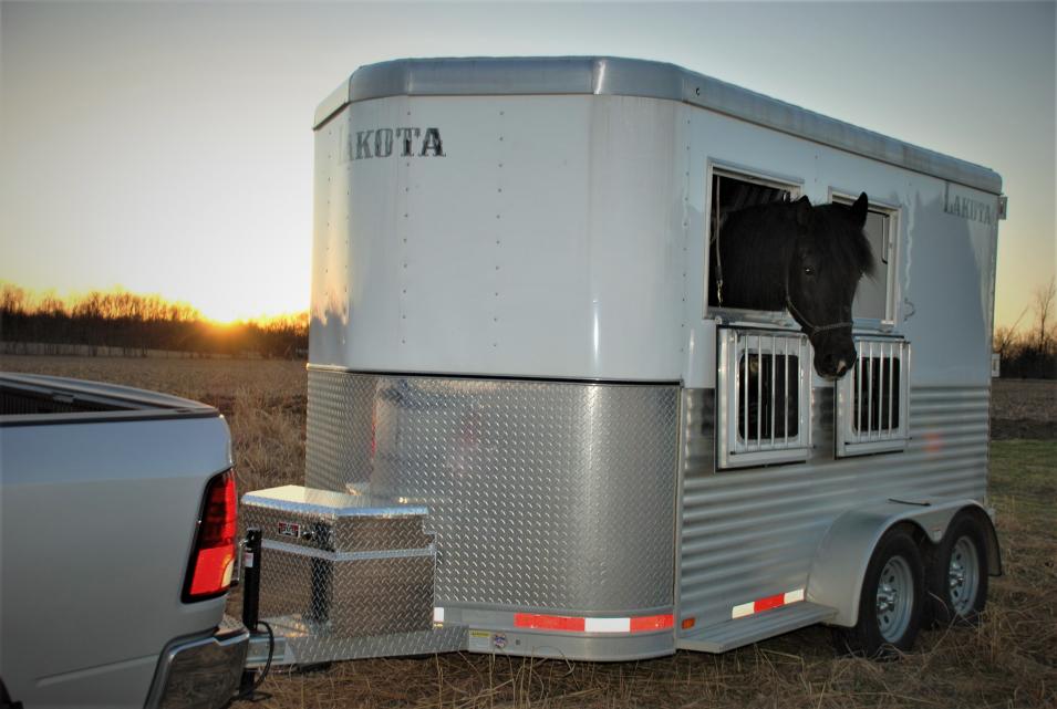 horse trailer with RB4919 Tool Box on the front