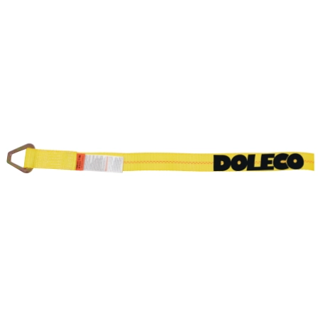 Winch Strap with Delta Ring